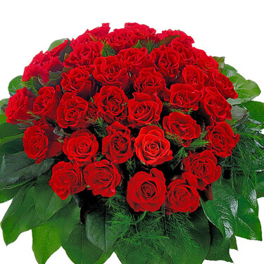 Bouquet of red roses