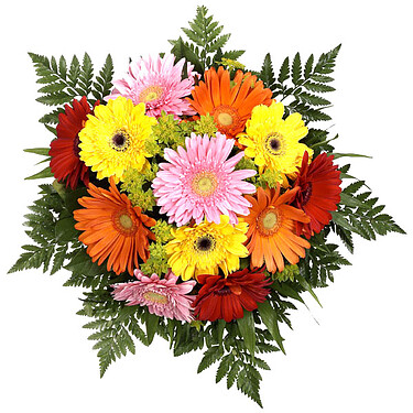 Bouquet of mixed coloured gerberas