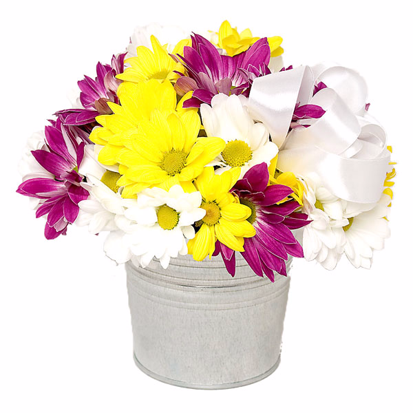 Send Flowers to Romania FloraPrima.de