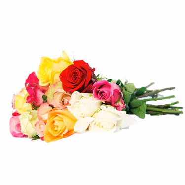 Bunte Rosen im Bund