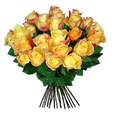 Bouquet of yellow roses