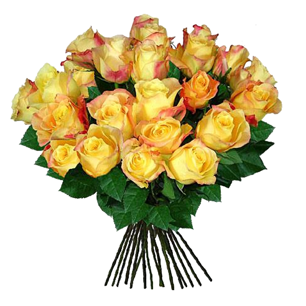 Bouquet of yellow roses