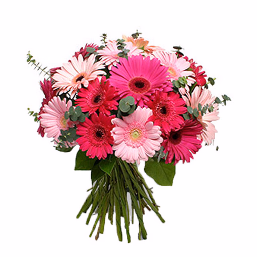 Bouquet of gerberas