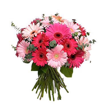 Bouquet of gerberas