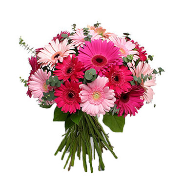 Bouquet of gerberas