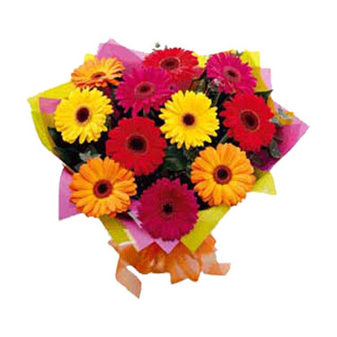 Bunch of  gerberas