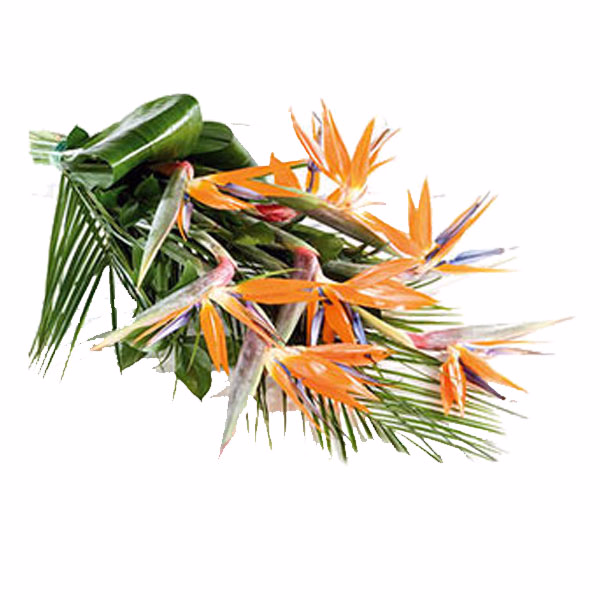 Flower Bouquet Paradiso