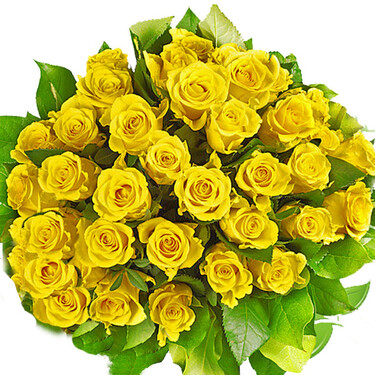 Bouquet of yellow roses