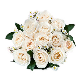 Bouquet of white roses