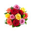 Mixed Coloured Roses