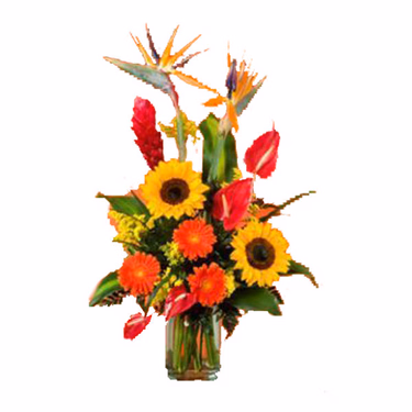 Flower Bouquet Tropicana