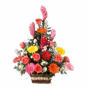 Flower Arrangement Tosca
