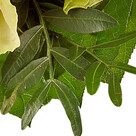 Rosenstrauß mit Vase Rosenpoesie