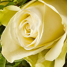 Rosenstrauß mit Vase Rosenpoesie
