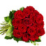 Rote Premiumrosen
