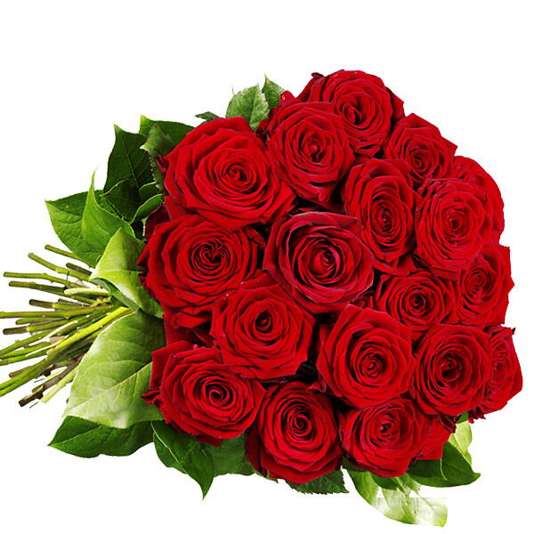 Red Premium roses