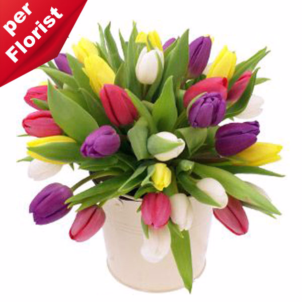 Bunch of mixed coloured tulips Lieferung Czech Republic Blumen