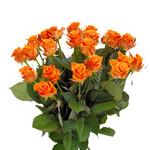 Bouquet of orange roses