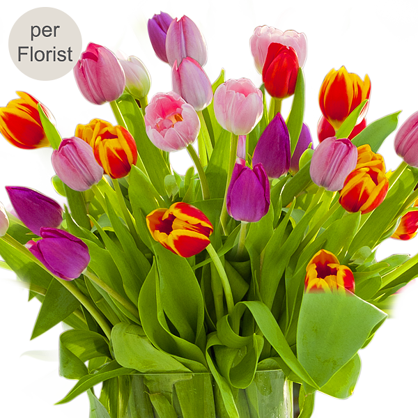 Blumenstrauß Tulip