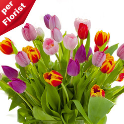 Blumenstrauß Tulip Blumenstrauß Tulip