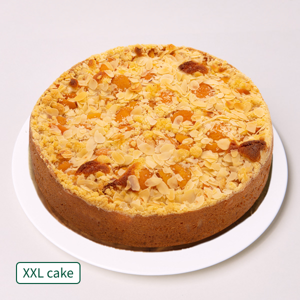 Large Apricot Cake