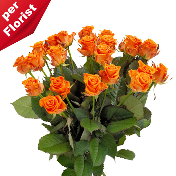 Blumen Nach Polen Verschicken Blumen Nach Polen Verschicken