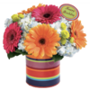 Blumenstrauß Gerberatraum