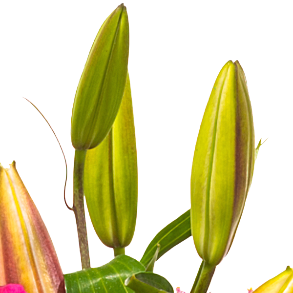 Sympathy Wreath with pink lilies