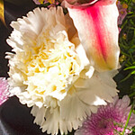 Sympathy Wreath with pink lilies