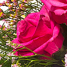 Trauerkranz mit rosa Lilien