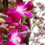 Asiatische Orchideen mit Vase