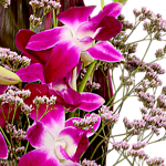 Asiatische Orchideen mit Vase