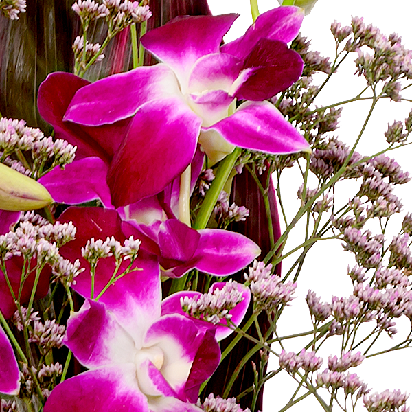 Asiatic Orchids with vase Send flowers online with FloraPrima.de