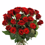 Bouquet of red roses