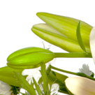Sympathy Bouquet "Letzter Gruß"