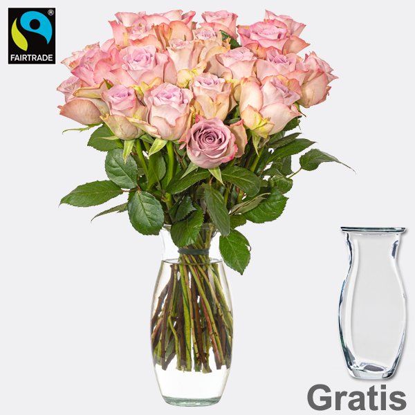 20 rosa Fairtrade Rosen im Bund mit Vase
