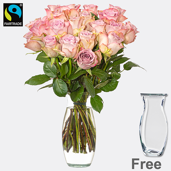 20 light pink Fairtrade roses in a bunch with Vase