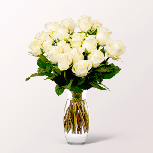 Bunch of  20 white Fairtrade roses