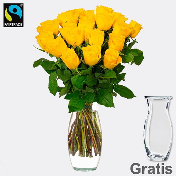 20 gelbe Fairtrade Rosen im Bund mit Vase