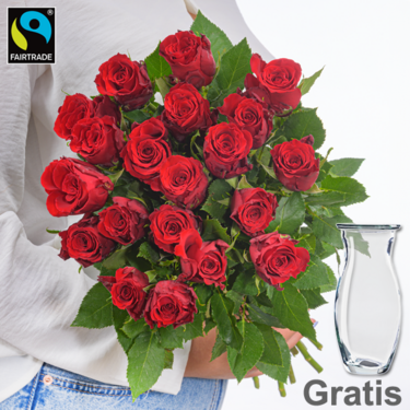 frisch gebunden Rote Fairtrade Rosen im Bund mit Vase