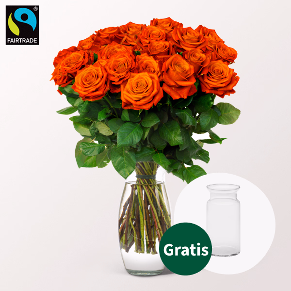 Orange Fairtrade Rosen im Bund mit Vase