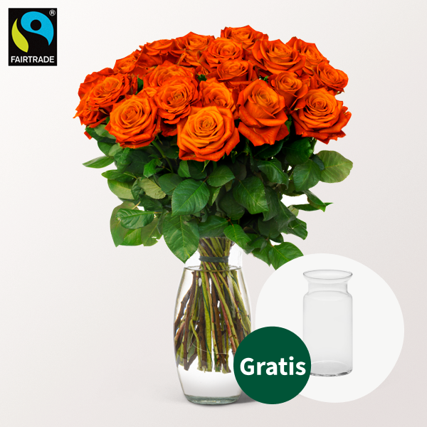 Orange Fairtrade Rosen im Bund mit Vase