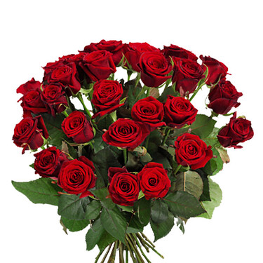 Bouquet of red roses