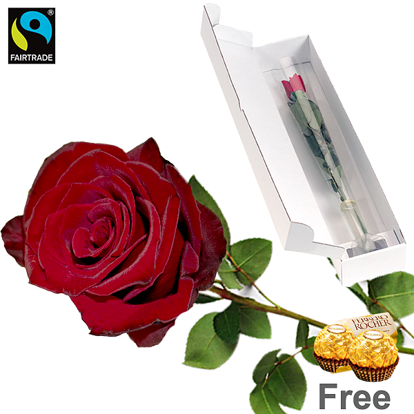 Red long-stemmed Fairtrade rose with 2 Ferrero Rocher