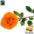 Orange, langstielige Fairtrade Rose in edler Verpackung mit 2 Ferrero Rocher