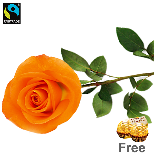 Orange long-stemmed Fairtrade rose with 2 Ferrero Rocher