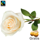 Weiße, langstielige Fairtrade Rose in edler Verpackung mit 2 Ferrero Rocher