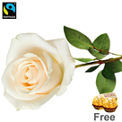 White long-stemmed Fairtrade rose with 2 Ferrero Rocher