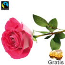 Rosa, langstielige Fairtrade Rose in edler Verpackung mit 2 Ferrero Rocher