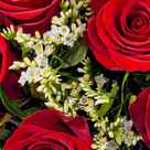 Rosenstrauß Romeo mit Vase